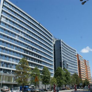 AF-ref-photo2-1024x819